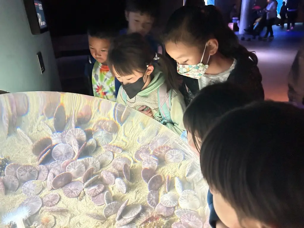 Mandarin camp students exploring an aquarium exhibit