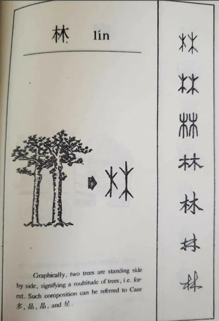 每日学一字Chinese Learning One Word Everyday~【林】(lín) 2 Screenshot 20240209 093530 Facebook