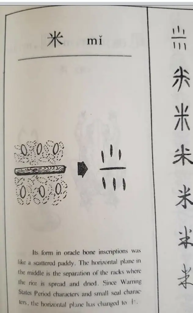 每日学一字Chinese Learning One Word Everyday~【米】(mǐ) 2 Screenshot 20240209 093817 Facebook