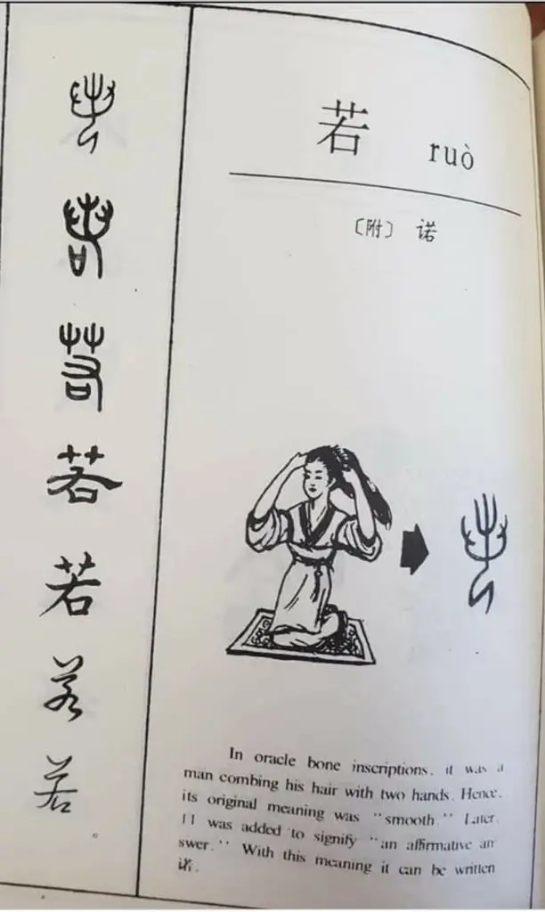 每日学一字Chinese Learning One Word Everyday~【若】(ruò) 2 Screenshot 20240216 093254 Facebook