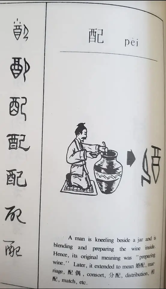 < Chinese Learning One Word Everyday~【配】(pèi) 每日学一字 2 318317760 186842804023858 8859702035200112136 n