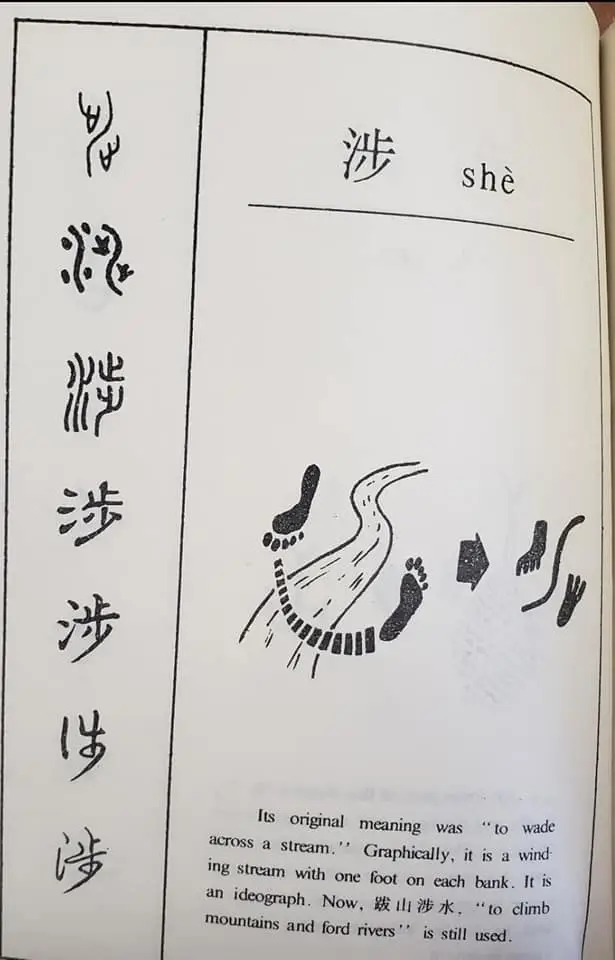 每日学一字Chinese Learning One Word Everyday~【涉】(shè) 2 318988302 188194790555326 4558512098937055722 n
