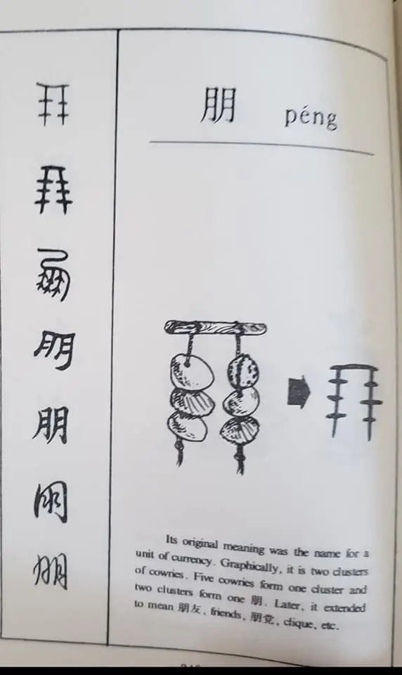 每日学一字Chinese Learning One Word Everyday~【朋】(péng) 2 319552089 189169020457903 7941327733244026397 n