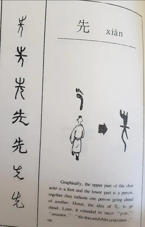 313882942 177385274969611 3281743909437550134 n