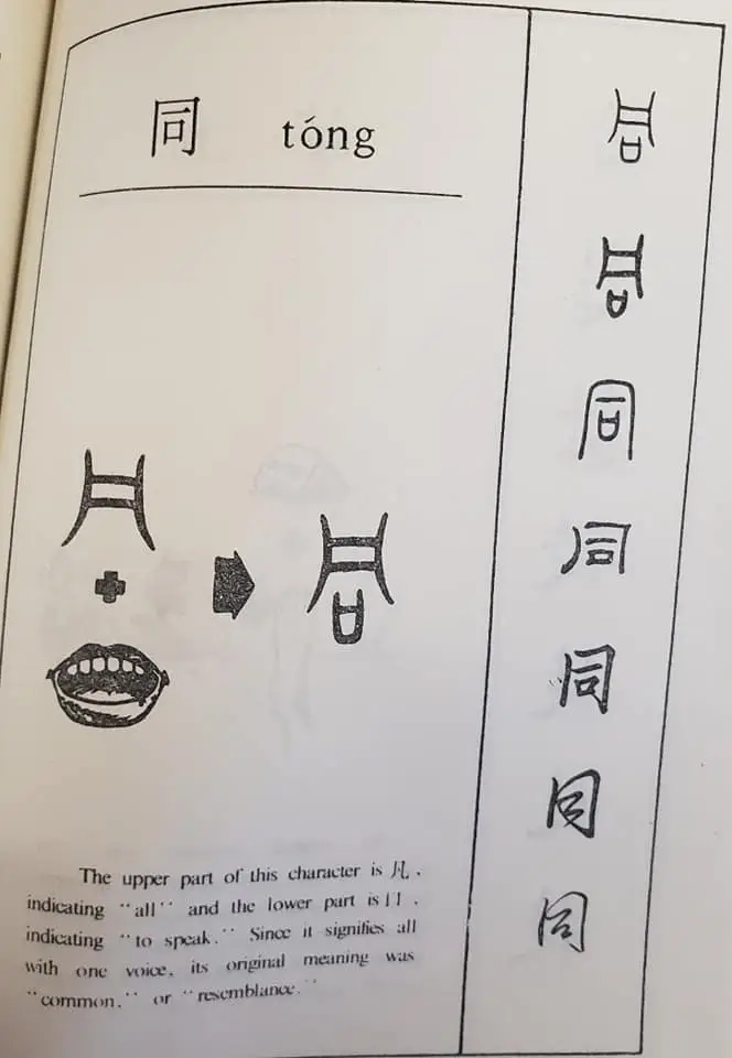 314085635 178019818239490 803208780163525255 n