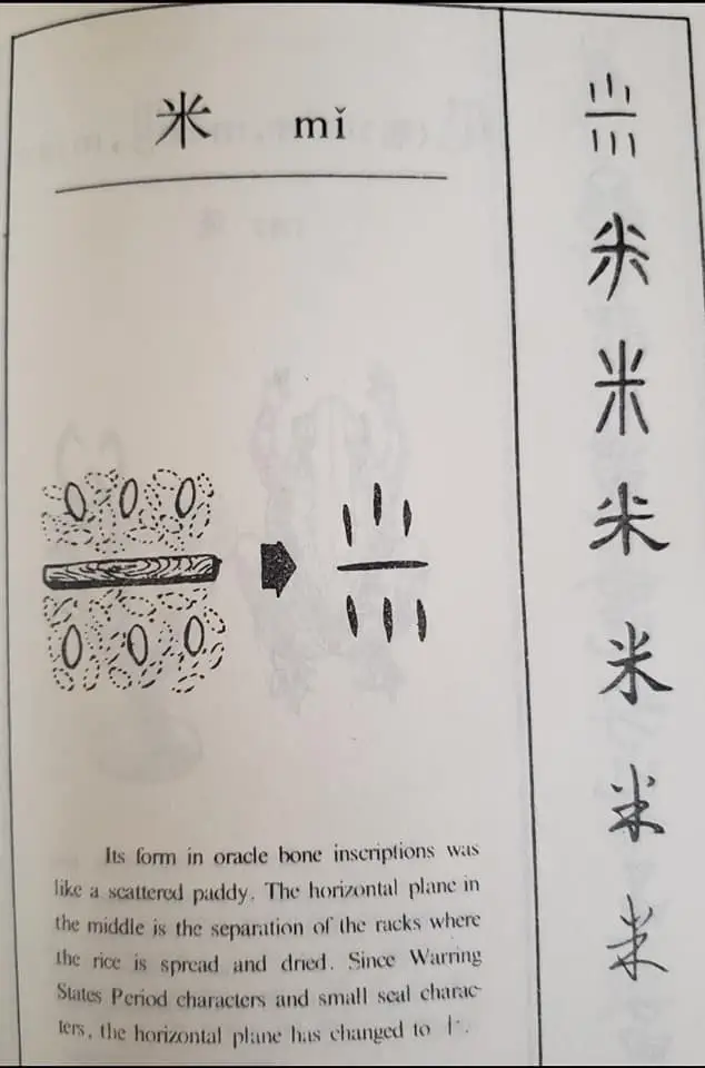 314144430 180421707999301 2449105152544483655 n