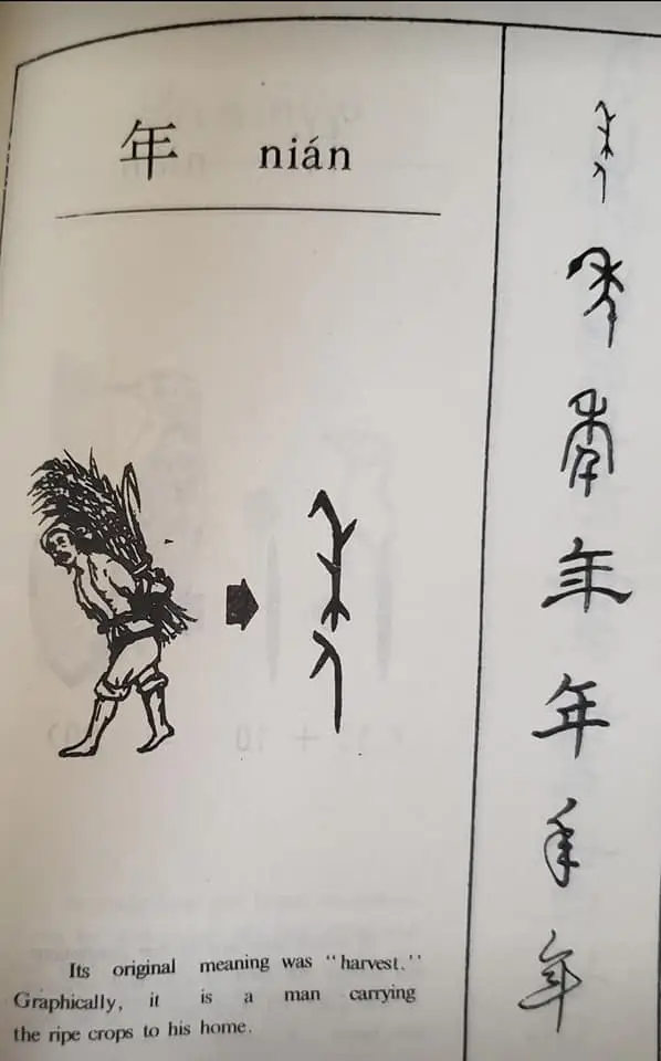 314511714 179253851449420 6837329158306250504 n