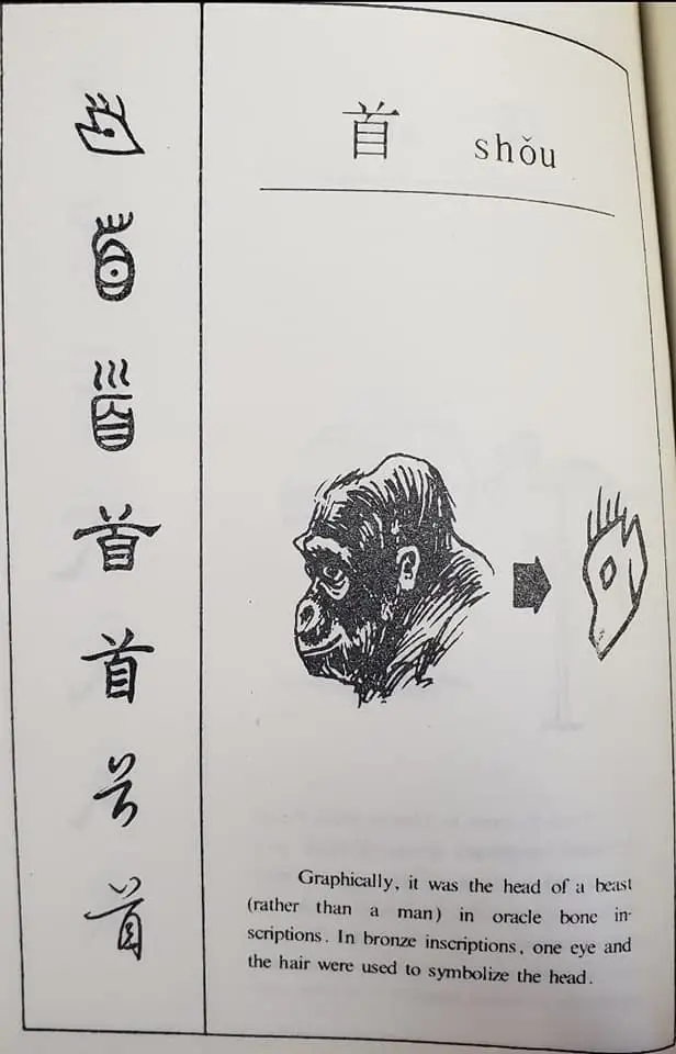 314671704 178976271477178 3090152297419082570 n