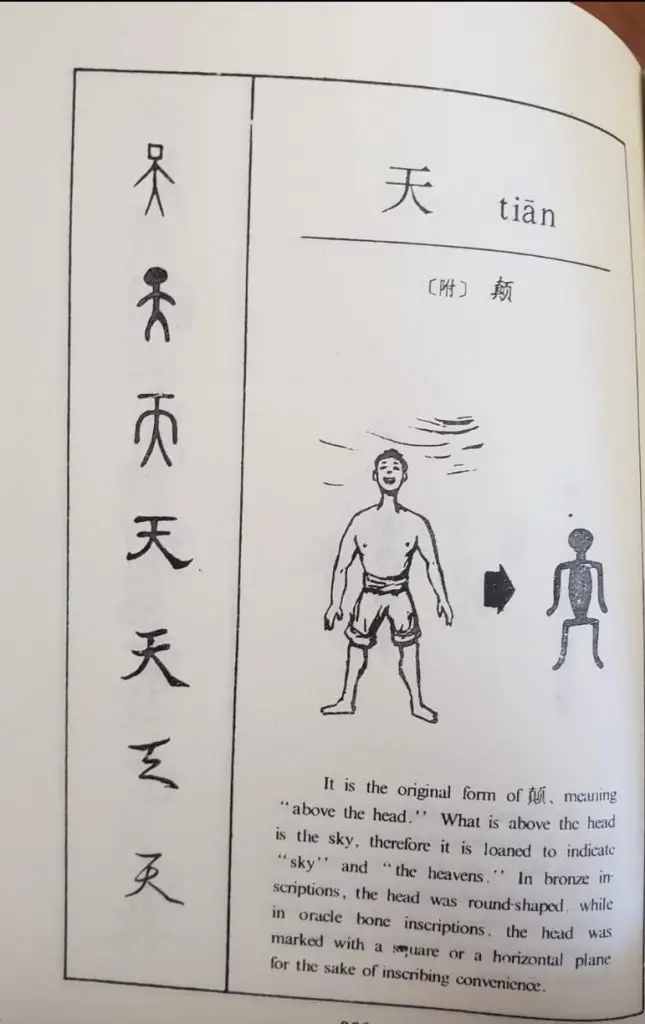 314909974 179850071389798 5250354798602458905 n