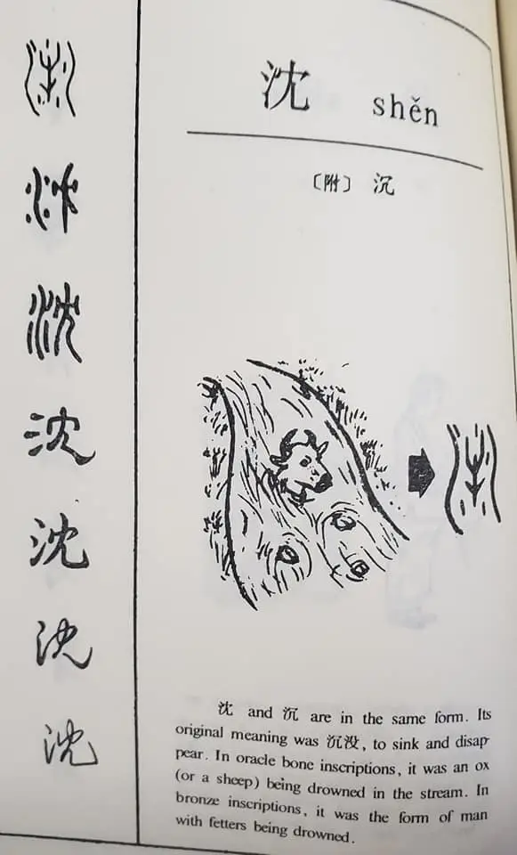 315129342 180165998024872 9107016629370497873 n