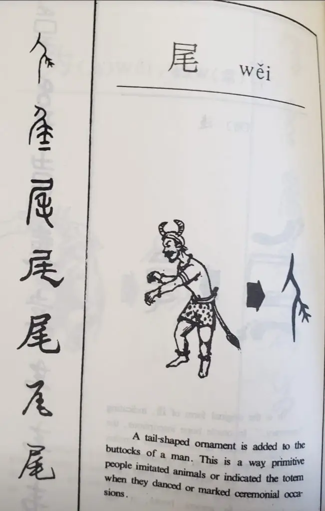 Chinese Learning One Word Everyday~【尾】(wěi,) 每日学一字 2 315640414 181441114564027 2551319595330885538 n