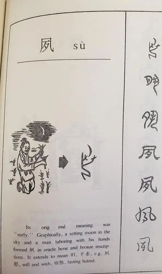 316543670 183436284364510 7388564413743922990 n