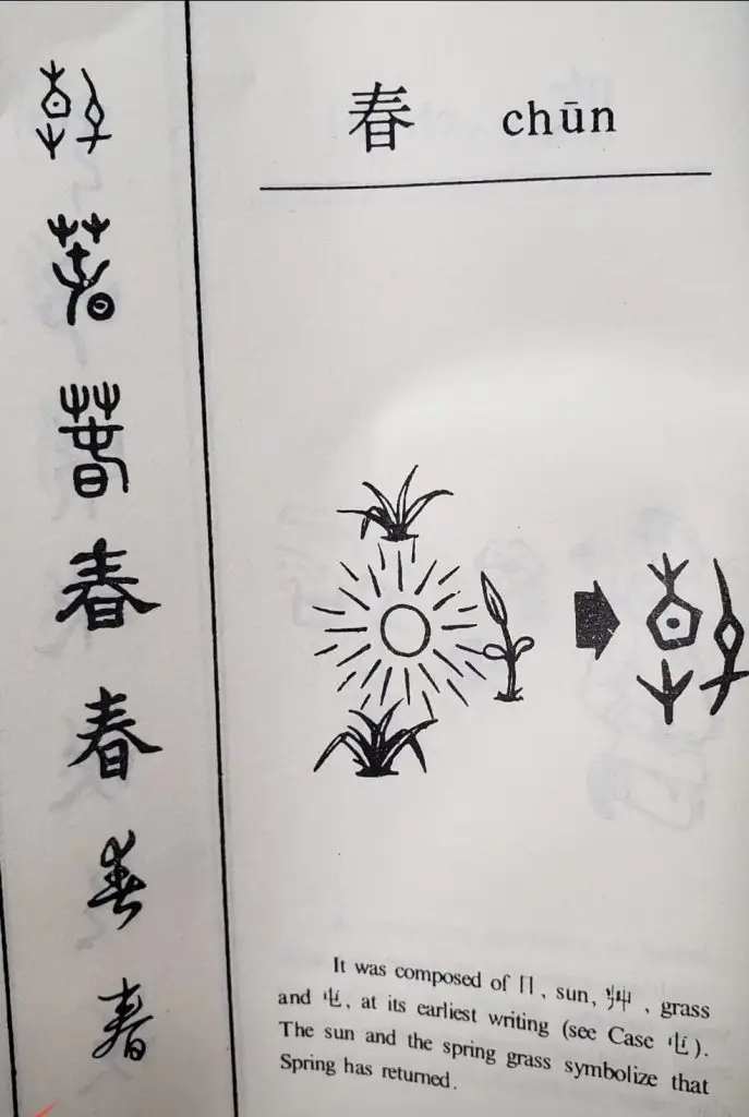 310434937 169968489044623 5823238983060047460 n