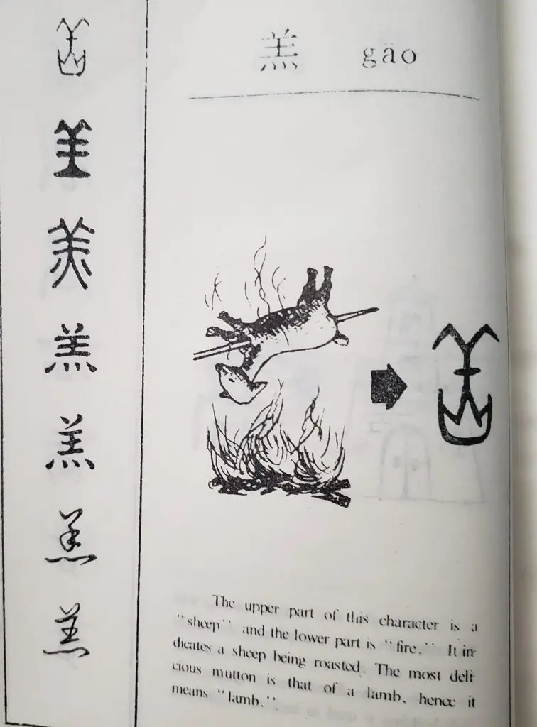 310685887 170557408985731 3911334013509655284 n