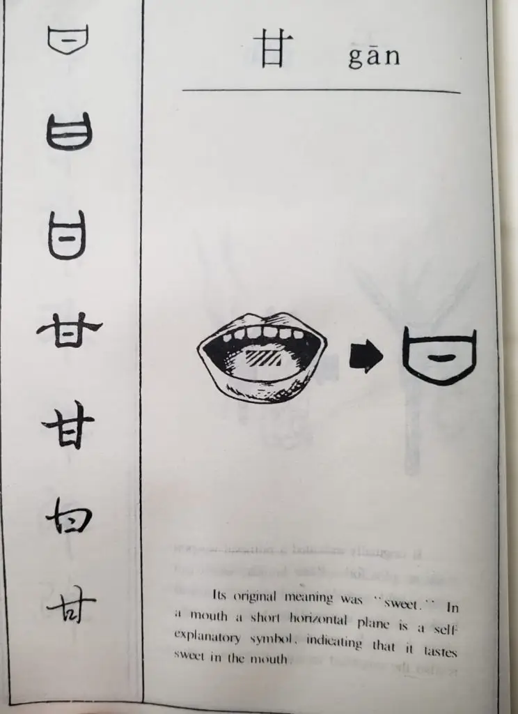 310960061 169742622400543 949034774965561127 n