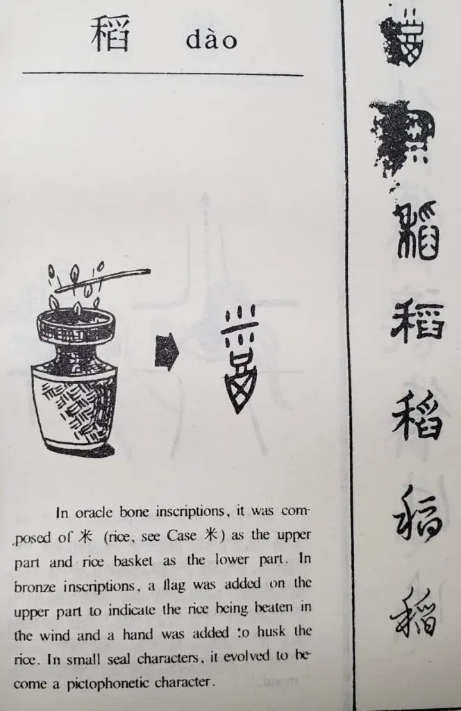 310999377 171134048928067 4372950027237206859 n