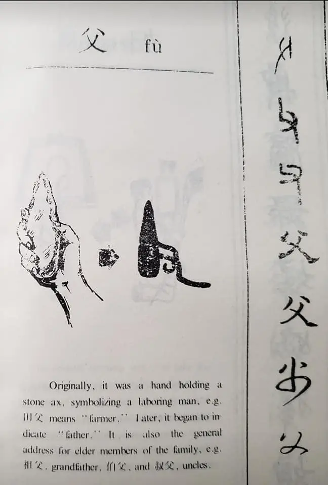 311818493 171962222178583 3425456358632691992 n