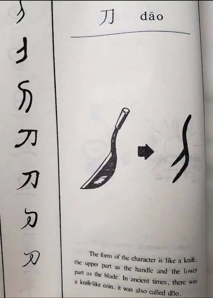 312059620 172770292097776 1533203261885441954 n