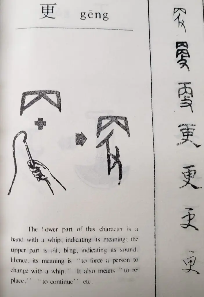 312169004 173959188645553 874425466357518829 n