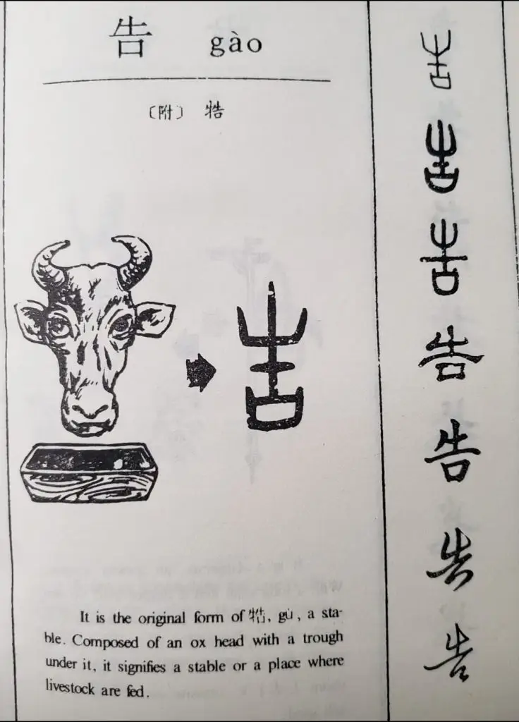 312246383 173070108734461 6842353236246919490 n