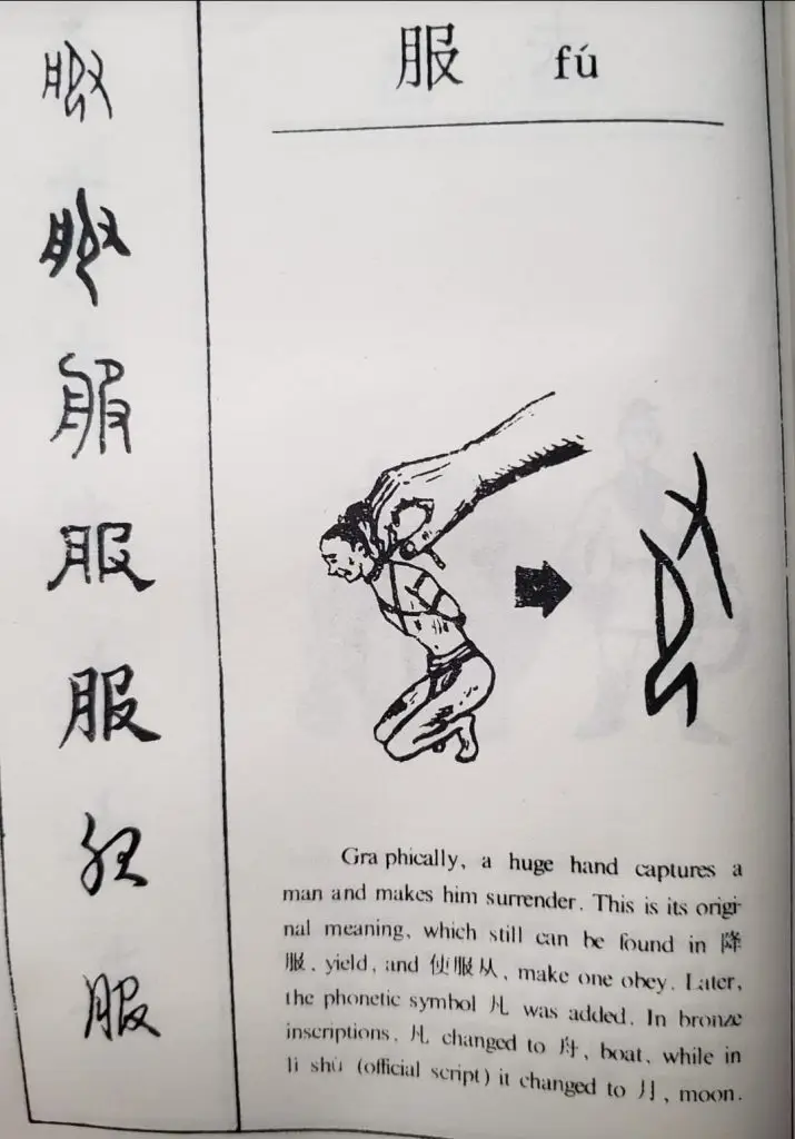 312379446 173335122041293 5294855370140059179 n