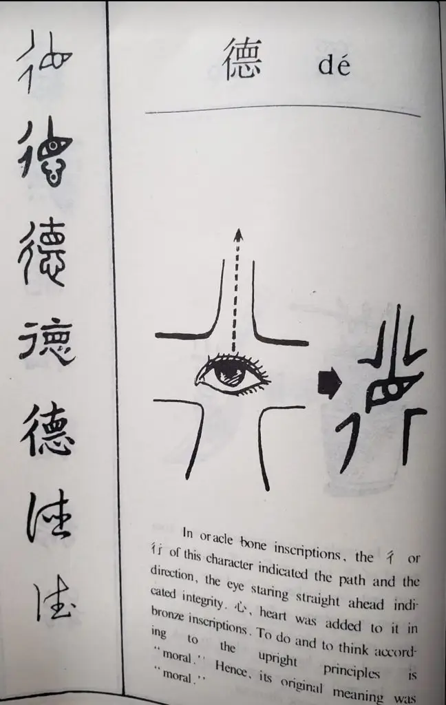 312784444 174569271917878 977074541253660888 n