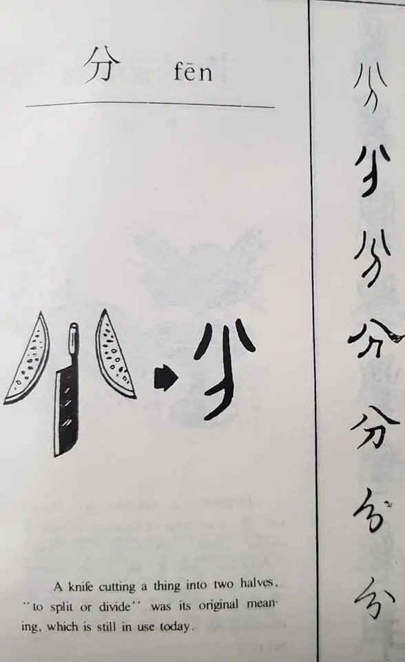 312807889 174840305224108 6586722134060146155 n