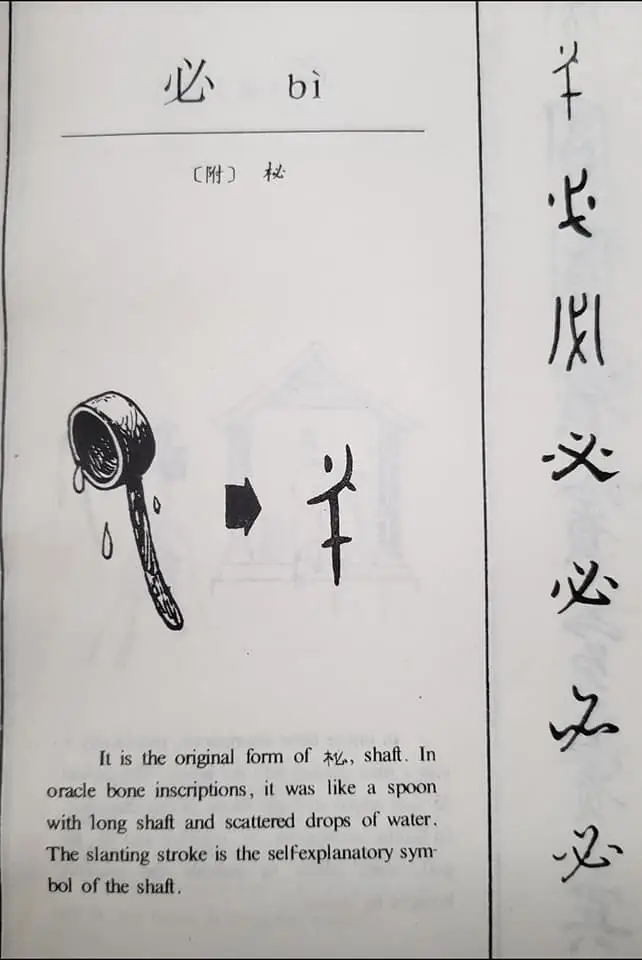 313129718 175183451856460 5149415844601334232 n