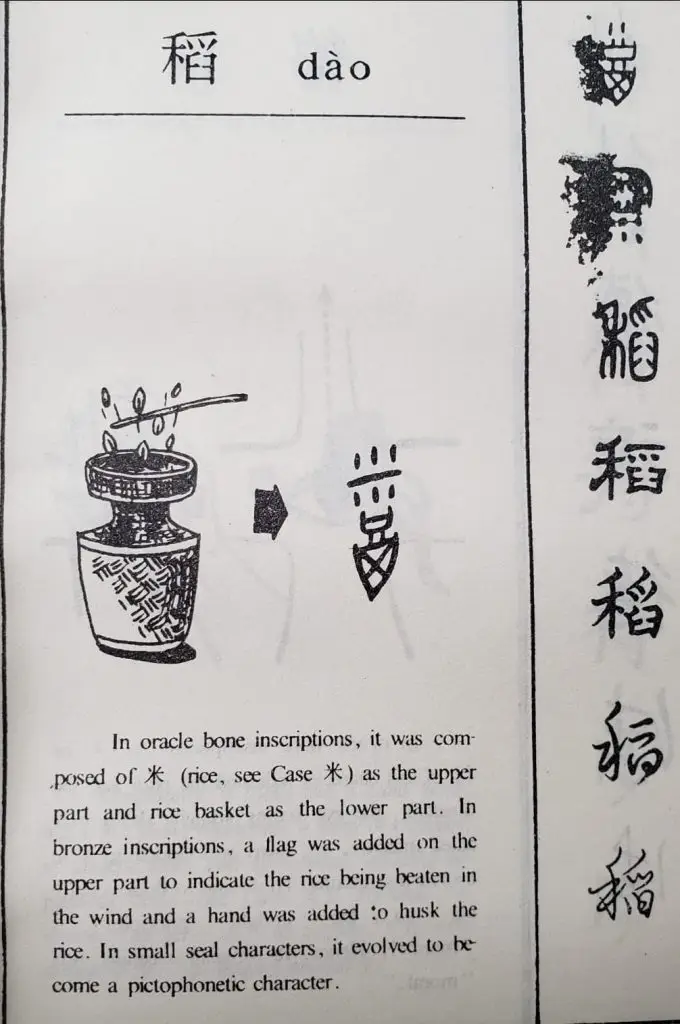 313179059 175529431821862 4655522817964225437 n