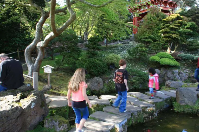 Immersive Mandarin Class at Japanese Tea Garden
